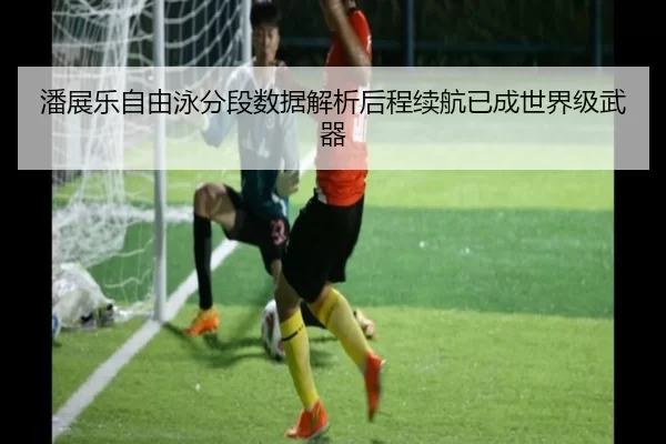 潘展乐自由泳分段数据解析后程续航已成世界级武器（HTH）
